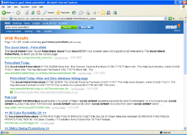 MSN Search Engine Optimisation