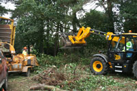 Site Clearance