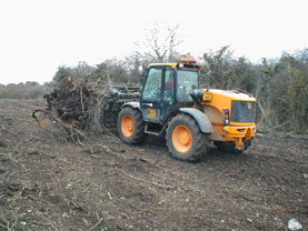 Site Clearance