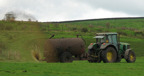 Windrow 